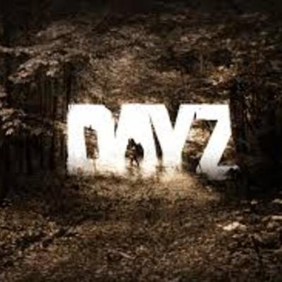 Timeline: How To Be Good At DayZ