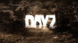 Timeline: How To Be Good At DayZ
