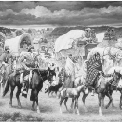 Timeline: indian removal