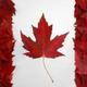 Canada leaf
