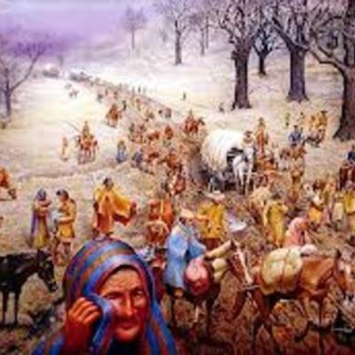 Timeline: indian removal