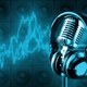 Microphone voice over1