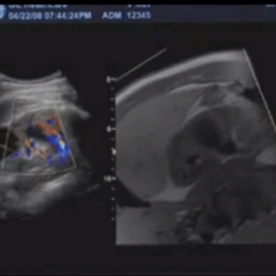 Timeline: Multimedia Development Process ELRN 540 Dahlke Logiq E9 Vnav