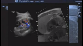 Timeline: Multimedia Development Process ELRN 540 Dahlke Logiq E9 Vnav