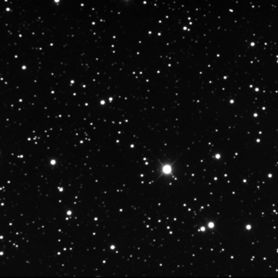 Timeline: Het grote misschien