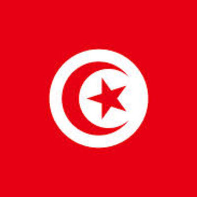 Timeline: Arab Spring; Tunisian Revolution