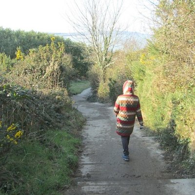 Timeline: Lee, Hyunju. Developmental Psychology Timeline