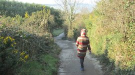 Timeline: Lee, Hyunju. Developmental Psychology Timeline