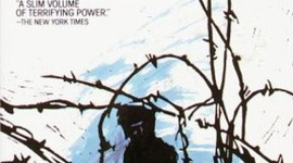 Timeline: Night Group Timeline