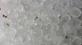 Timeline: Andra Världskriget