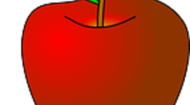 Timeline: Professional Career