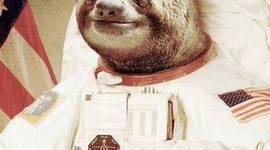 Timeline: Karen's Life