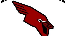 Timeline: La Vida de David Stein