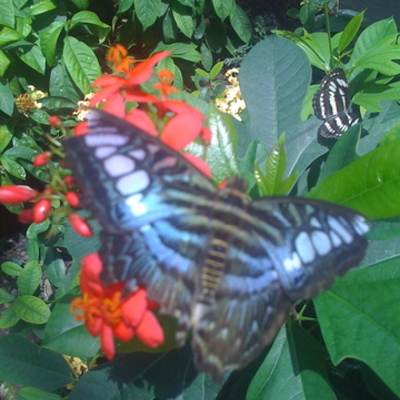 Timeline: Reading Timeline