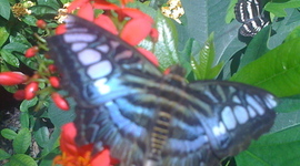 Timeline: Reading Timeline