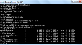 Timeline: Computer Programming 1: Module 2-Programming Language Timeline