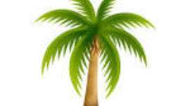 Timeline: Scotty LBP