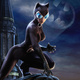 Hd wallpapers arkham catwoman wallpaper 1920x1200 wallpaper