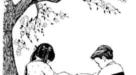 Timeline: my reading history