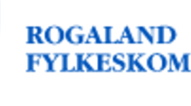 Timeline: IKT strategi RFK