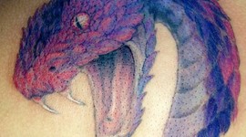 Timeline: prima timeline