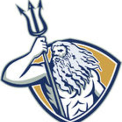 Timeline: Projeto Foundation