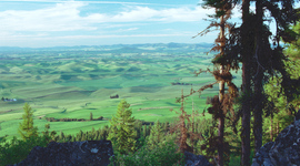 Timeline: Social Forces in the Pacific Northwest