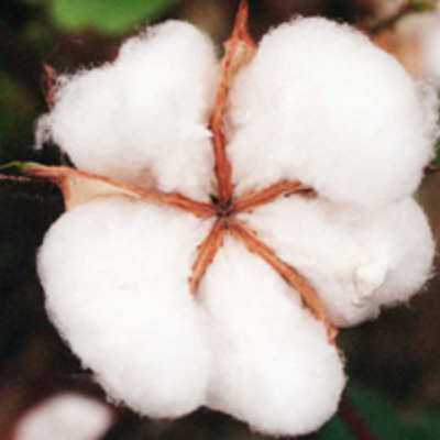 Timeline: Turner Mignerey