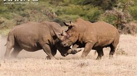 Timeline: Mr. Mashed Potatoes