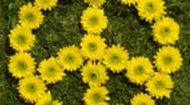 Timeline: African American History timeline