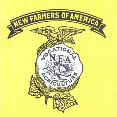 Timeline: NFA