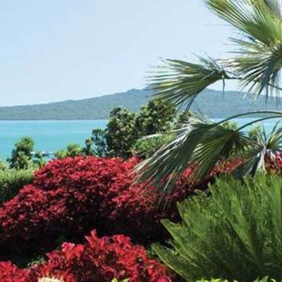 Timeline: History of New Zealand