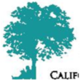 Calpac tree