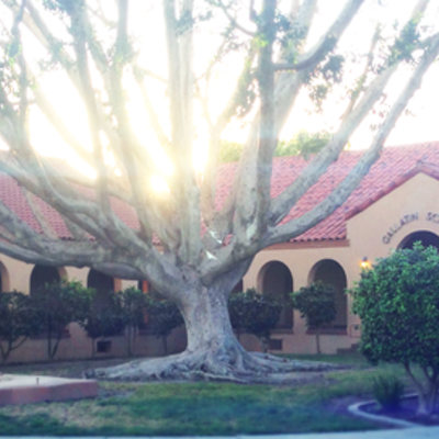 Timeline: Project 2020