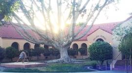 Timeline: Project 2020