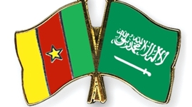 Timeline: Country Expert Assignment