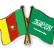 Flag pins cameroon saudi arabia