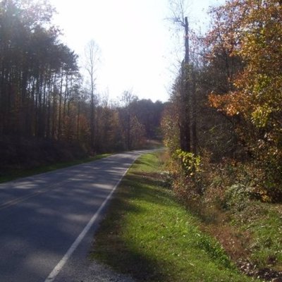 Timeline: Sheena Beach Family timeline