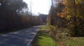 Timeline: Sheena Beach Family timeline