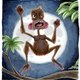 Angry monkey
