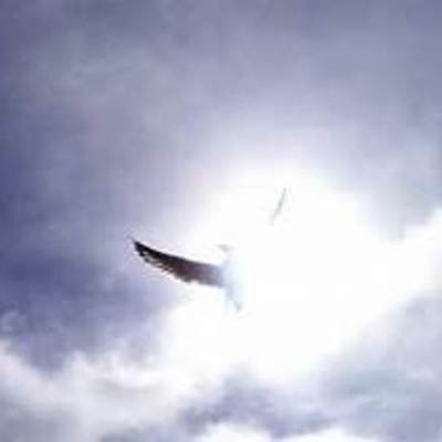 Timeline: Sidney's Church History Timeline