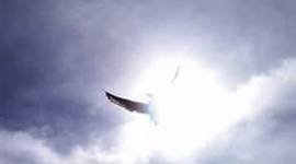 Timeline: Sidney's Church History Timeline