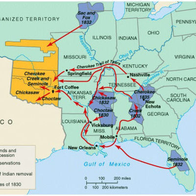 Timeline: mitchll's time line
