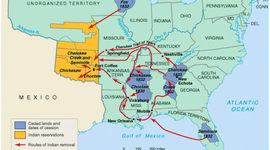 Timeline: mitchll's time line