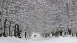 Timeline: gertaera garrantxitxuena