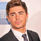 Zac efron any price new york premiere 2013 pzvcmc9dm16l