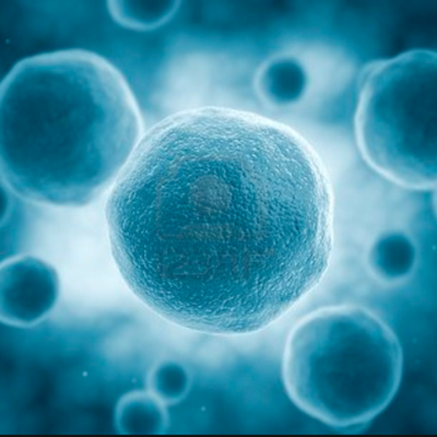 Timeline: The History of Cells