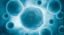 Timeline: The History of Cells