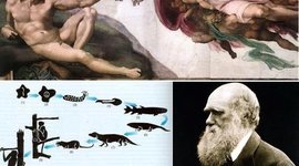 Timeline: theorys of evolution
