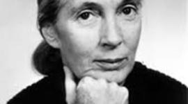 Timeline: Jane Goodall